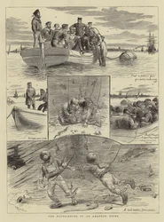 The Experiences of an Amateur Diver